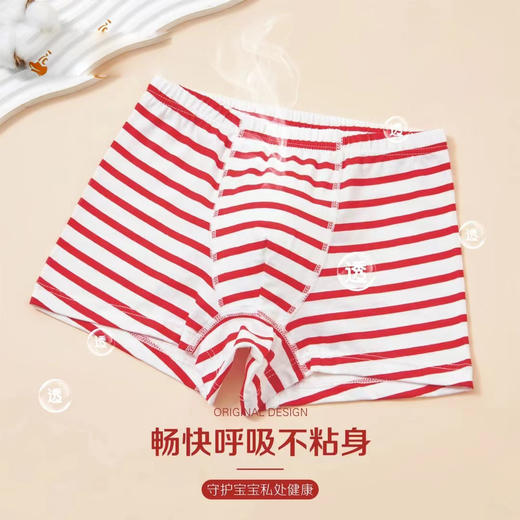 男童中童【四条装】平角鸿运棉内裤【KDN8018】 商品图2