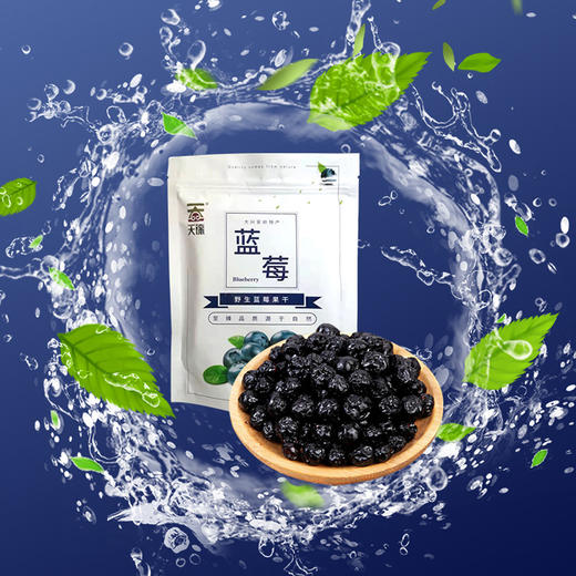 天锦 蓝莓果干100g 商品图0