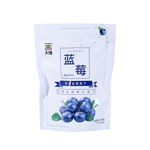 天锦 蓝莓果干100g 商品图2