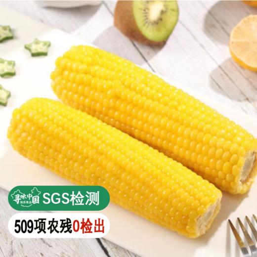 【20积分+28.9元兑换】黄糯玉米10棒 商品图0