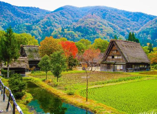 名古屋出发白川乡+高山一日游【需二次确认】B-0051 商品图1