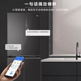 海尔505L全空间保鲜零嵌彩晶智能语音全温区T型门冰箱BCD-505WGHTD14SLU1