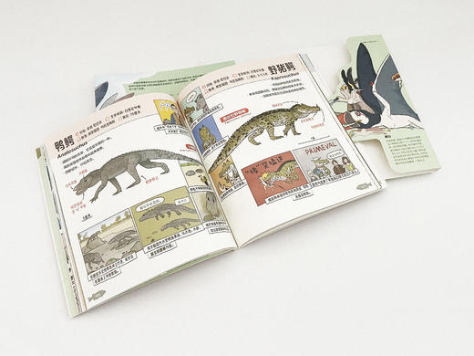 《史前生物你叫啥》系列3册 儿童科普读物 商品图3
