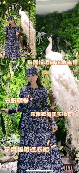 东篱把酒—陪伴你走过祖国的大好河山~