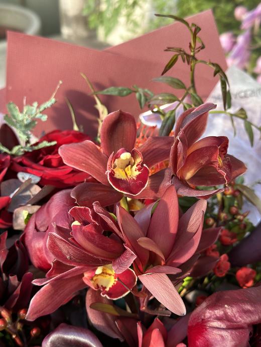 红红火火 商品图1