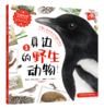 中国植物+动物 很高兴认识你（全8册） 商品缩略图8