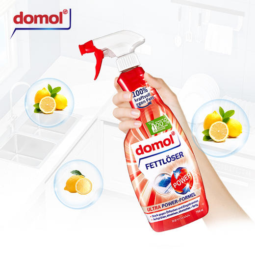 德国进口Domol厨房强力去油污喷雾油烟机清洗剂 750ml/瓶 商品图0