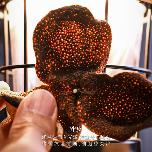 【敬序堂】（5年）茶坑（绿色）新会陈皮（品鉴装）15g 商品图1