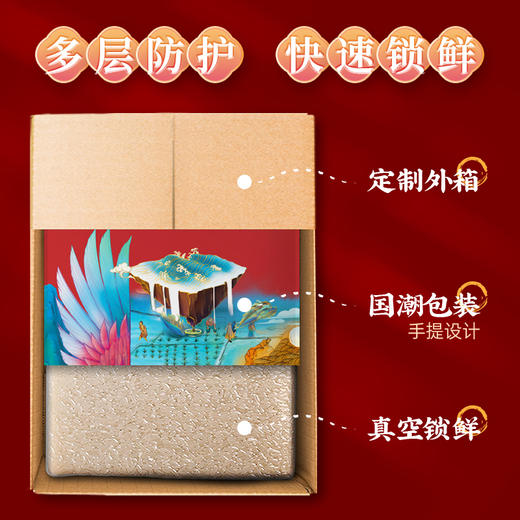 袁谷隆平芯米五常龙凤香米5kg稻花香2号东北大米/粳米10斤2025年新米 商品图2