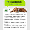 西诺-犬冠状测试卡 商品缩略图1