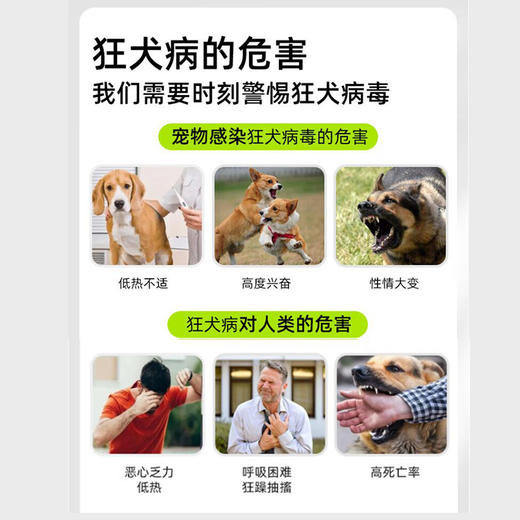 西诺-狂犬抗体测试卡 商品图2