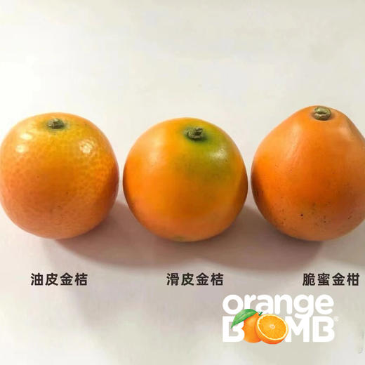 【最后两天 果子很嫩！ 】金桔天花板-脆蜜金柑 皮脆肉嫩超多汁  顺丰快递 商品图10