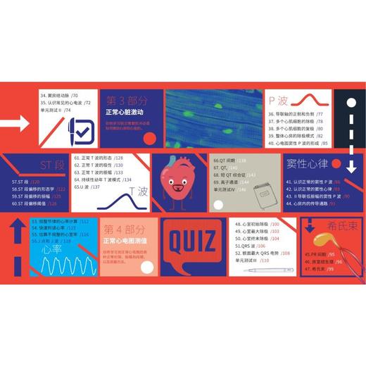 秒懂心电图百科 全彩医学插画本 商品图2