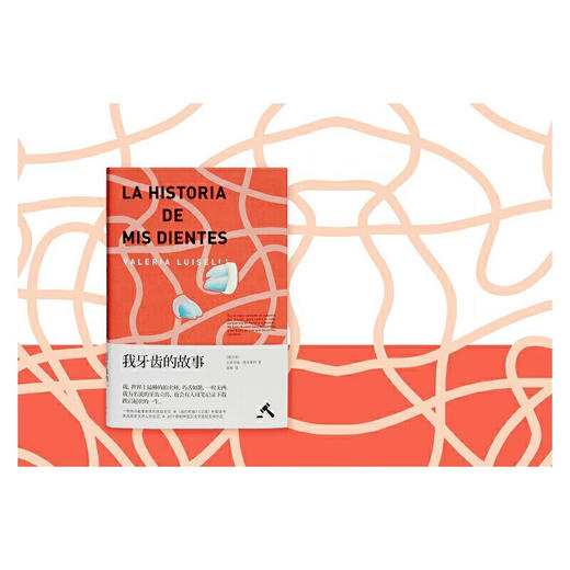 【无塑封9成新】我牙齿的故事（墨西哥）瓦莱里娅·路易塞利 著 商品图3