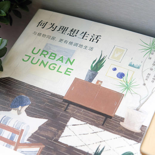 何为理想生活 与植物同居，更有格调地生活 商品图6