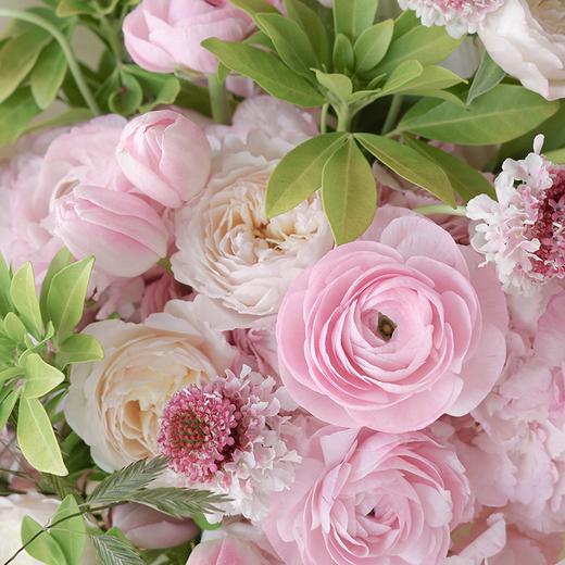 早莺暖树 Spring Warblers 商品图2