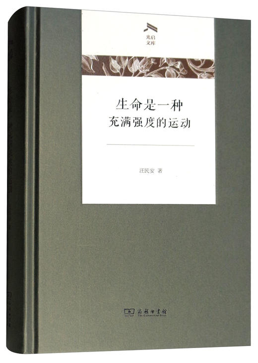 生命是一种充满强度的运动 汪民安 著 商品图0