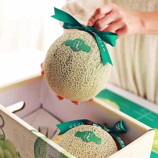 牛3蜜瓜 商品图0