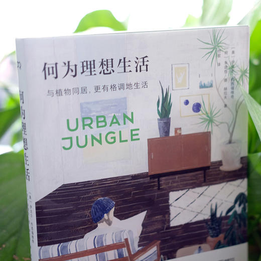 何为理想生活 与植物同居，更有格调地生活 商品图3