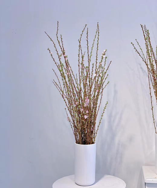 【希望 纯洁】珍珠李 粉色  约10枝/扎 商品图6