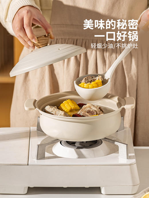 摩登主妇双耳汤锅家用燃气电磁炉煲汤煮粥专用炖锅火锅煮锅泡面锅 商品图1