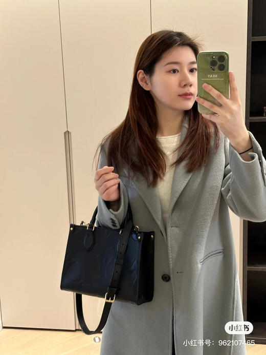 Lv全皮On the go小号 商品图1