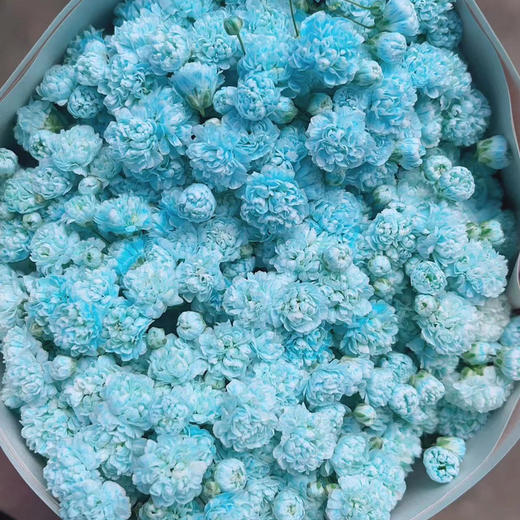 千万星--吸色·天蓝色 商品图0