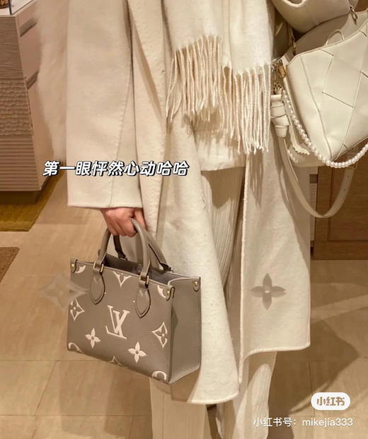 Lv全皮On the go小号 商品图6