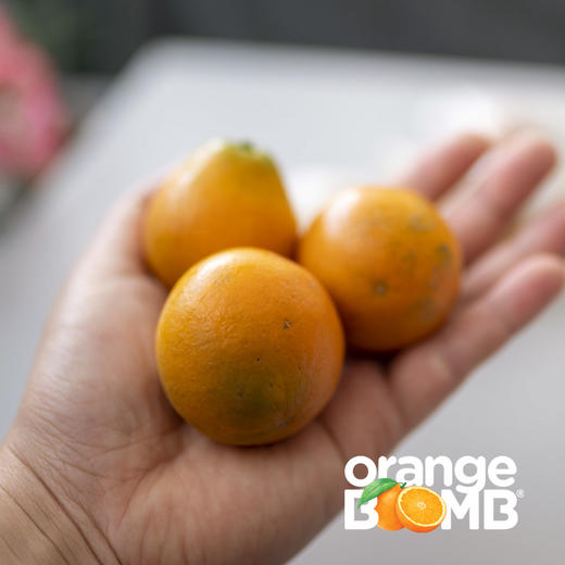 【最后两天 果子很嫩！ 】金桔天花板-脆蜜金柑 皮脆肉嫩超多汁  顺丰快递 商品图3