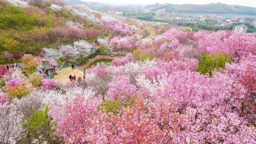杭州慢姑娘米乐别墅轰趴 商品图13