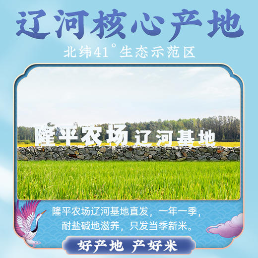 袁谷隆平芯米辽河基地2.5kg东北盘锦蟹田大米5斤珍珠米当季新米 商品图3