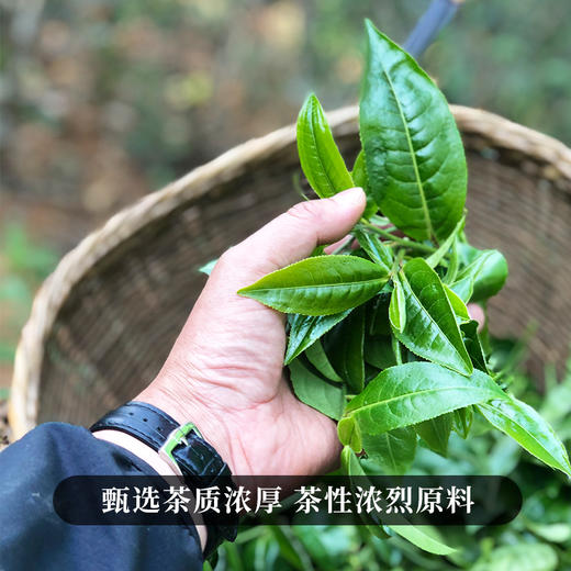 【霸王青饼】2015年古树春茶掌柜亲制勐海班章普洱茶生茶357g/饼 拍5发6 商品图7