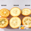 【最后两天 果子很嫩！ 】金桔天花板-脆蜜金柑 皮脆肉嫩超多汁  顺丰快递 商品缩略图9
