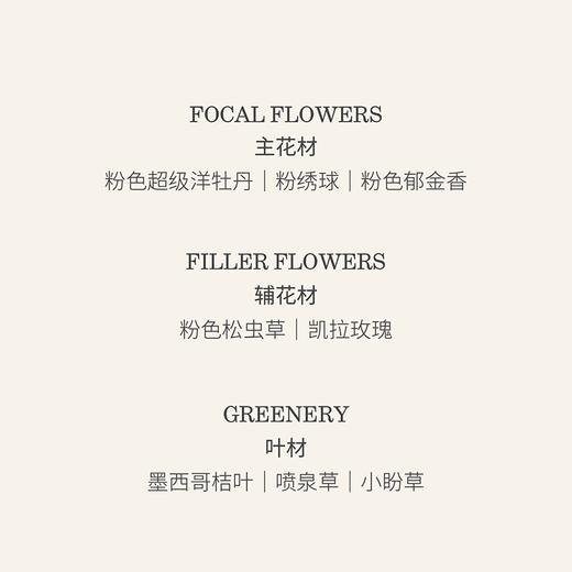 早莺暖树 Spring Warblers 商品图3