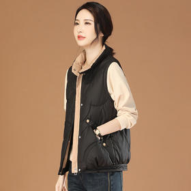 HC D0486立领坎肩加厚保暖黑色棉马甲