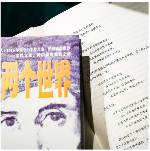 好望角丛书·两个世界：19世纪一个阿拉伯人的欧洲观察手记 商品图2