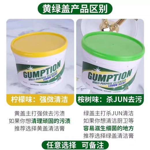 澳洲Gumption万用清洁膏多场景去污渍厨房卫浴厕所瓷砖家具500g 商品图2