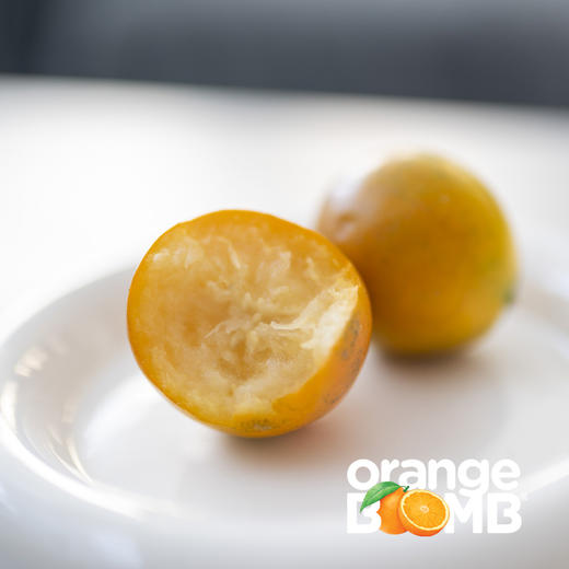 【最后两天 果子很嫩！ 】金桔天花板-脆蜜金柑 皮脆肉嫩超多汁  顺丰快递 商品图1