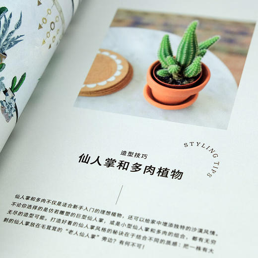 何为理想生活 与植物同居，更有格调地生活 商品图8