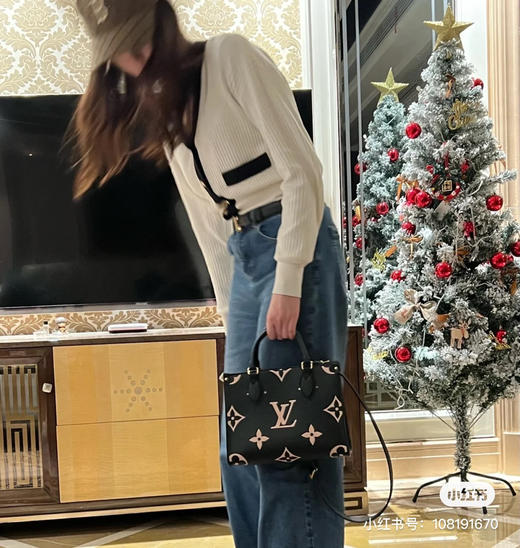 Lv全皮On the go小号 商品图2