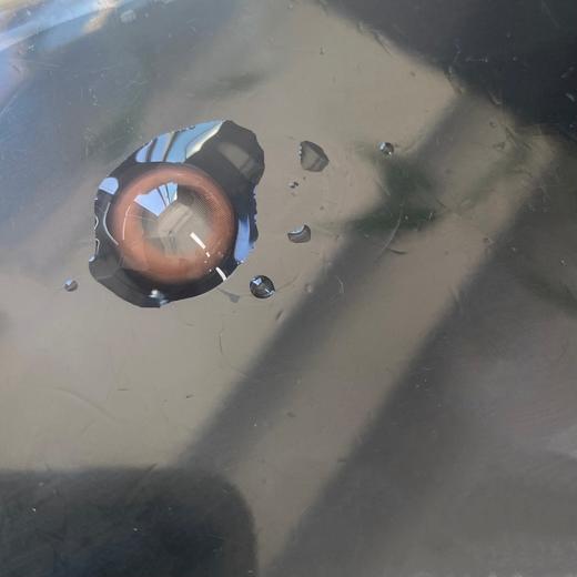 Deerbell•鹿小贝10片装日抛--甜蜜桃 商品图3