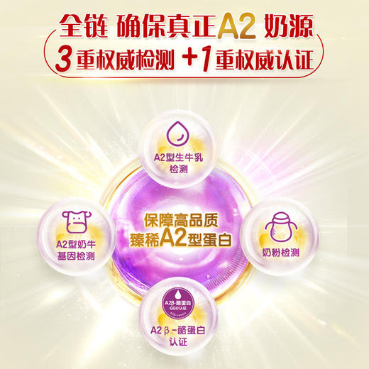 【新国标】伊利金领冠珍护4段儿童配方奶粉800g 商品图3