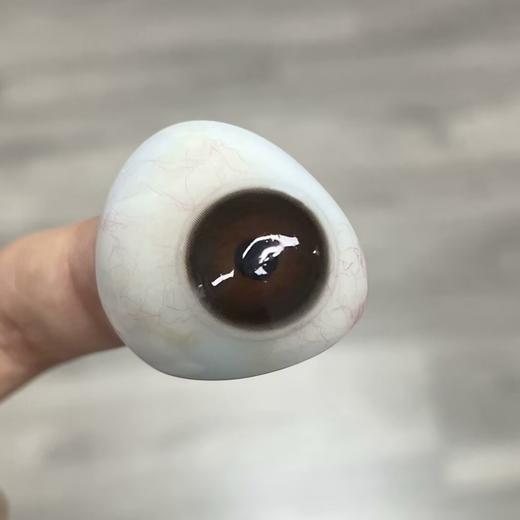 Deerbell•鹿小贝10片装日抛--幼乖黑 商品图5