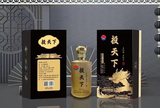 贵州酱酒 投天下 53° 500ml*1 商品图0