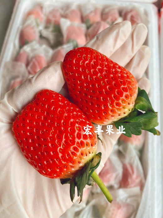 宏丰精选，丹东免洗草莓 超级好吃，活动价85一箱 商品图5