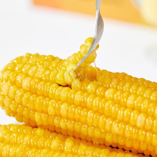 【代餐精选】吉林出口级有机速冻雪山玉米 冻吃像玉米雪糕 热吃像玉米麻薯糯甜糯甜玉米味十足，来自长白山黑土地 非真空极速冷冻鲜度更高 99%人没有吃过的雪山玉米 商品图0