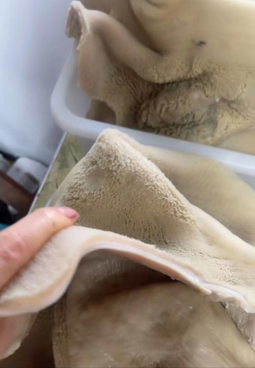 牛肚一斤 商品图0