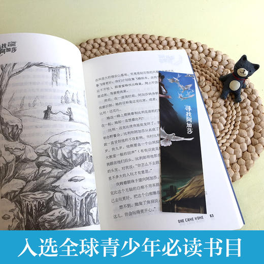 寻找阿加莎 商品图2