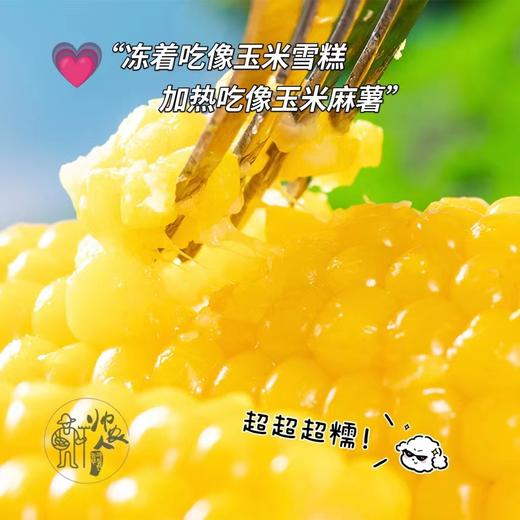【代餐精选】吉林出口级有机速冻雪山玉米 冻吃像玉米雪糕 热吃像玉米麻薯糯甜糯甜玉米味十足，来自长白山黑土地 非真空极速冷冻鲜度更高 99%人没有吃过的雪山玉米 商品图2