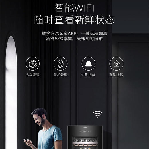 卡萨帝（Casarte）冰吧 LC-197WLC9ED1U1 商品图12